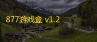 877游戏盒 v1.26